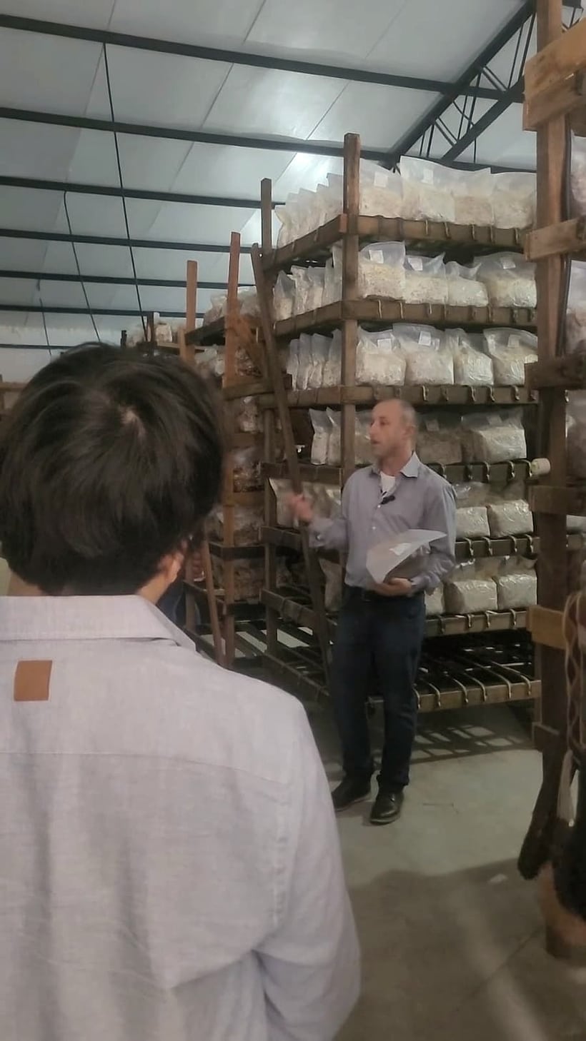 Giovanni Neves na produção da Hayashi Cogumelos